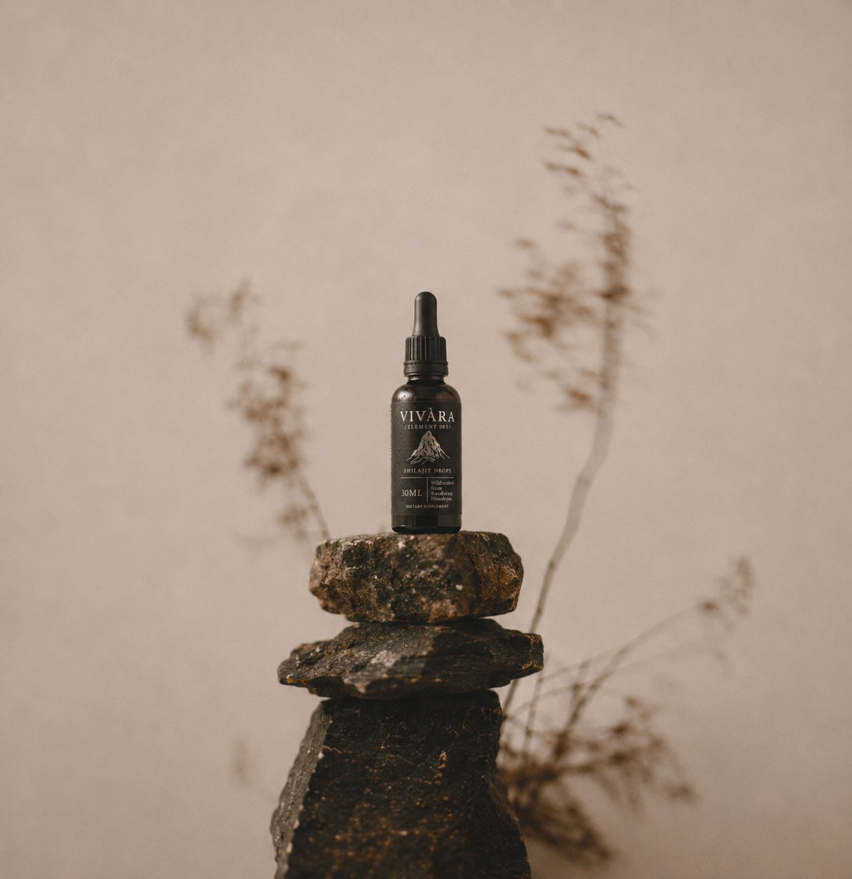 Element 003 resting on a cairn of Karakoram stone beside dried grasses
