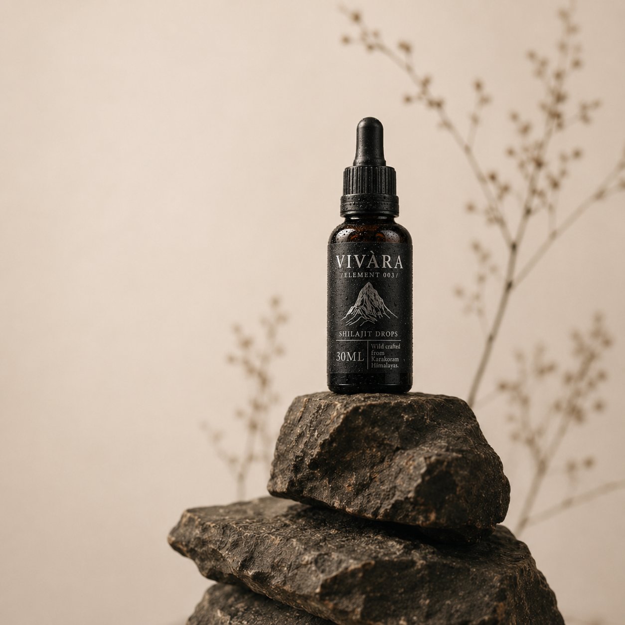 Element 003 Shilajit Drops standing on stacked Karakoram stone